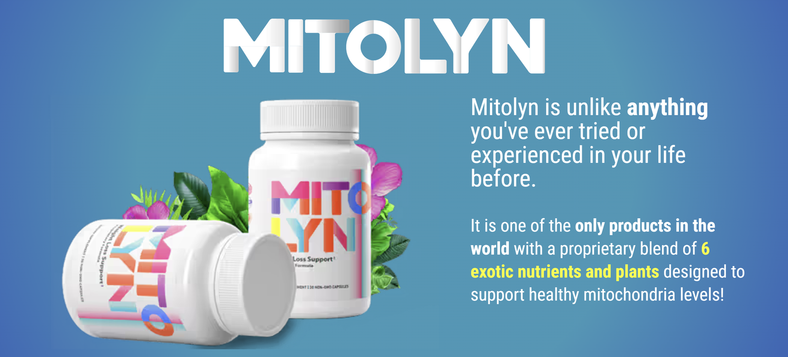 Mitolyn: Boost Energy & Focus for Health-Conscious Adults